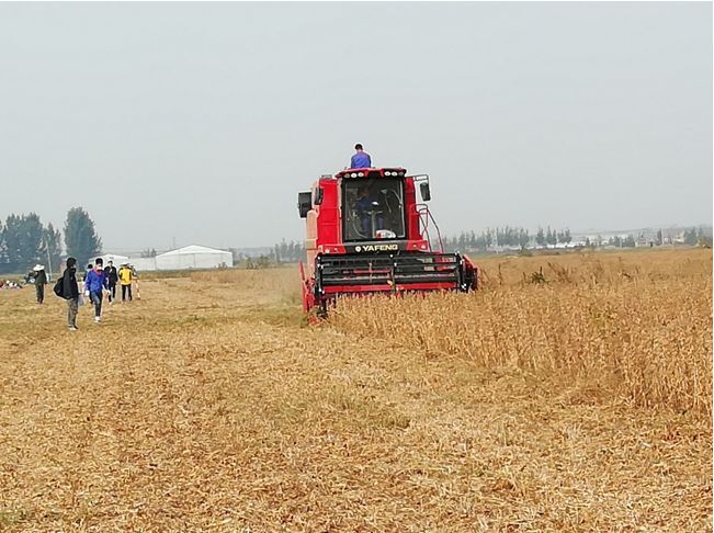 农机协作社起名大全