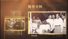 1669370322641687.gif