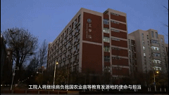 1669370670366283.gif
