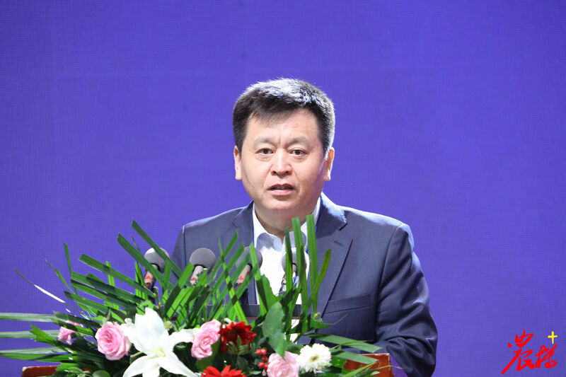 ae0ddb6d8778e1d1fdce31a9787ac874.jpg